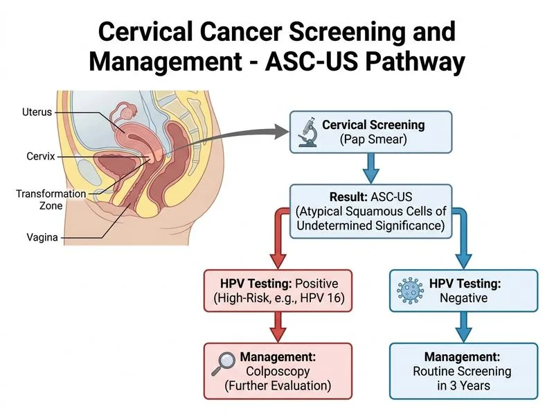 Cervical Cancer Screening and Management diagram