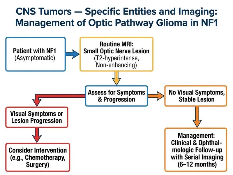 CNS Tumors — Specific Entities and Imaging diagram