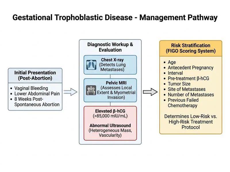 Gestational Trophoblastic Disease diagram