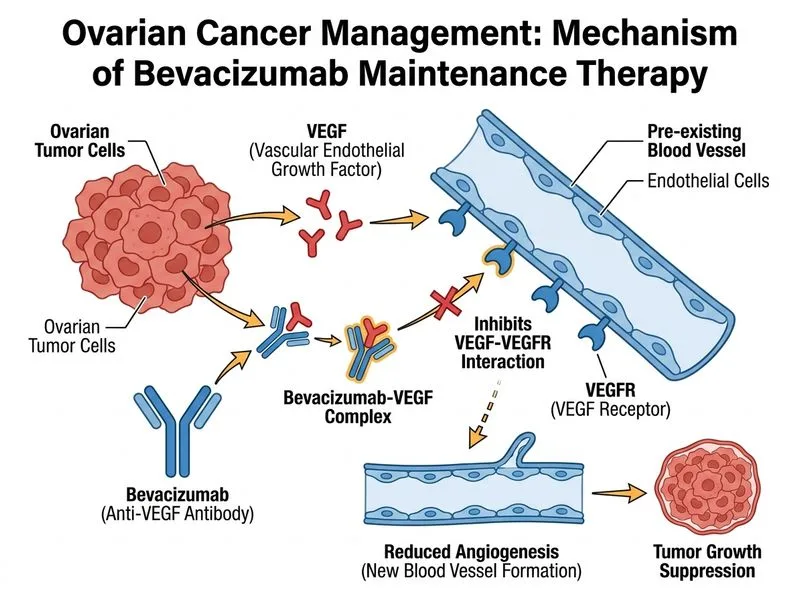 Ovarian Cancer Staging, Prognostic Factors and Management diagram