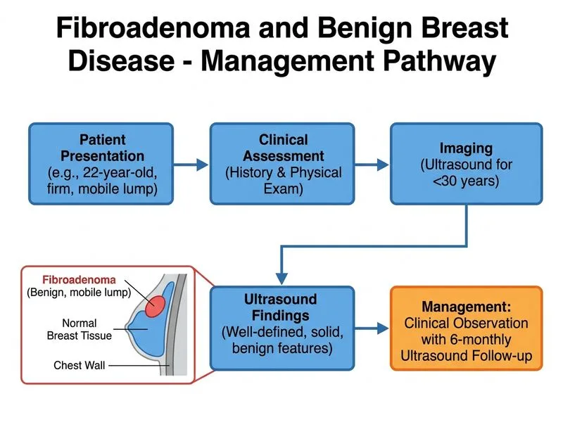 Fibroadenoma and Benign Breast Disease diagram