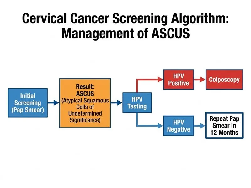 Cervical Cancer Screening and Management diagram