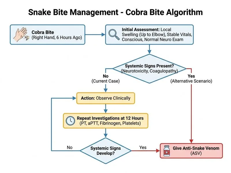 Snake Bite Management diagram