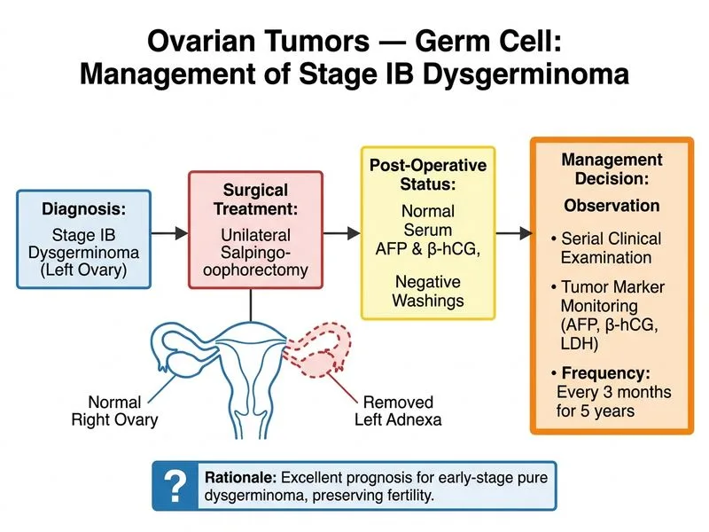 Ovarian Tumors — Germ Cell diagram