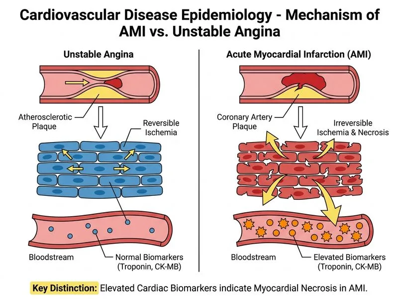 Cardiovascular Disease Epidemiology diagram