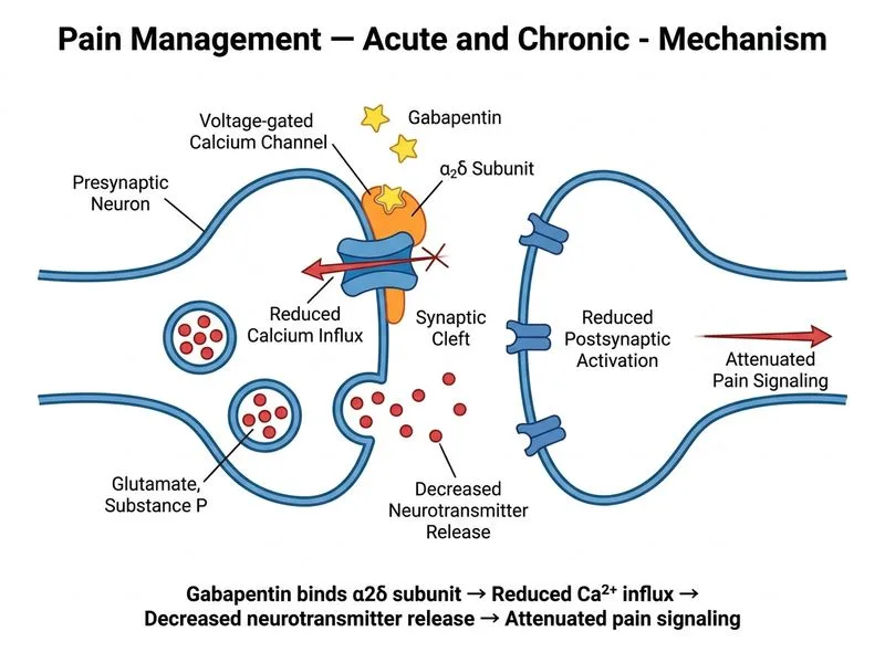 Pain Management — Acute and Chronic diagram